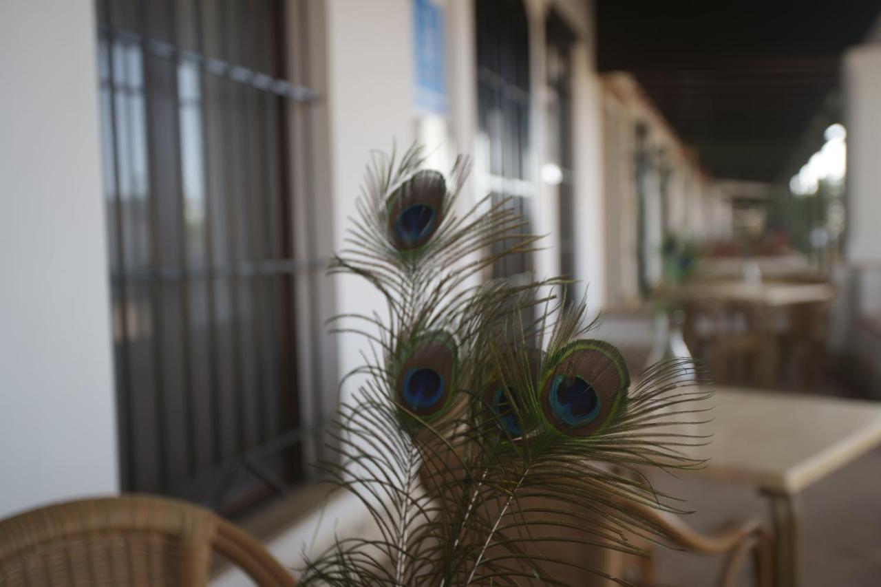Hostal Santa Habitaciones Aldea del Rocío El Rocío Exterior foto